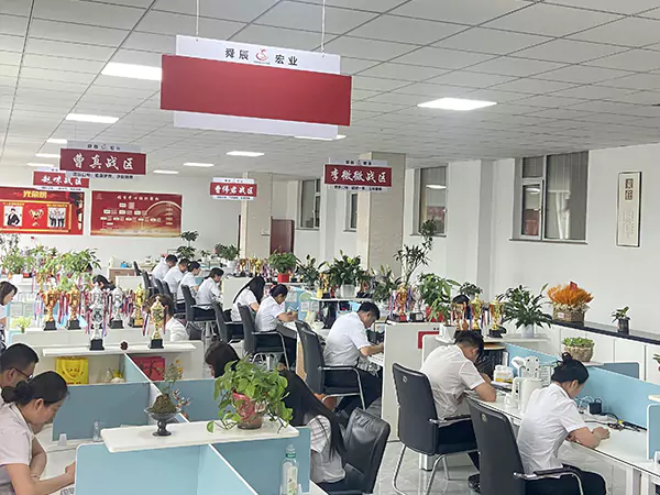 Con l'integrità come la vela e la qualità come la pagaia, scriveremo un nuovo capitolo nel marketing dell'acciaio